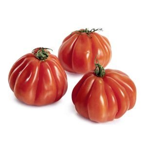 tomate Corazón de Buey 